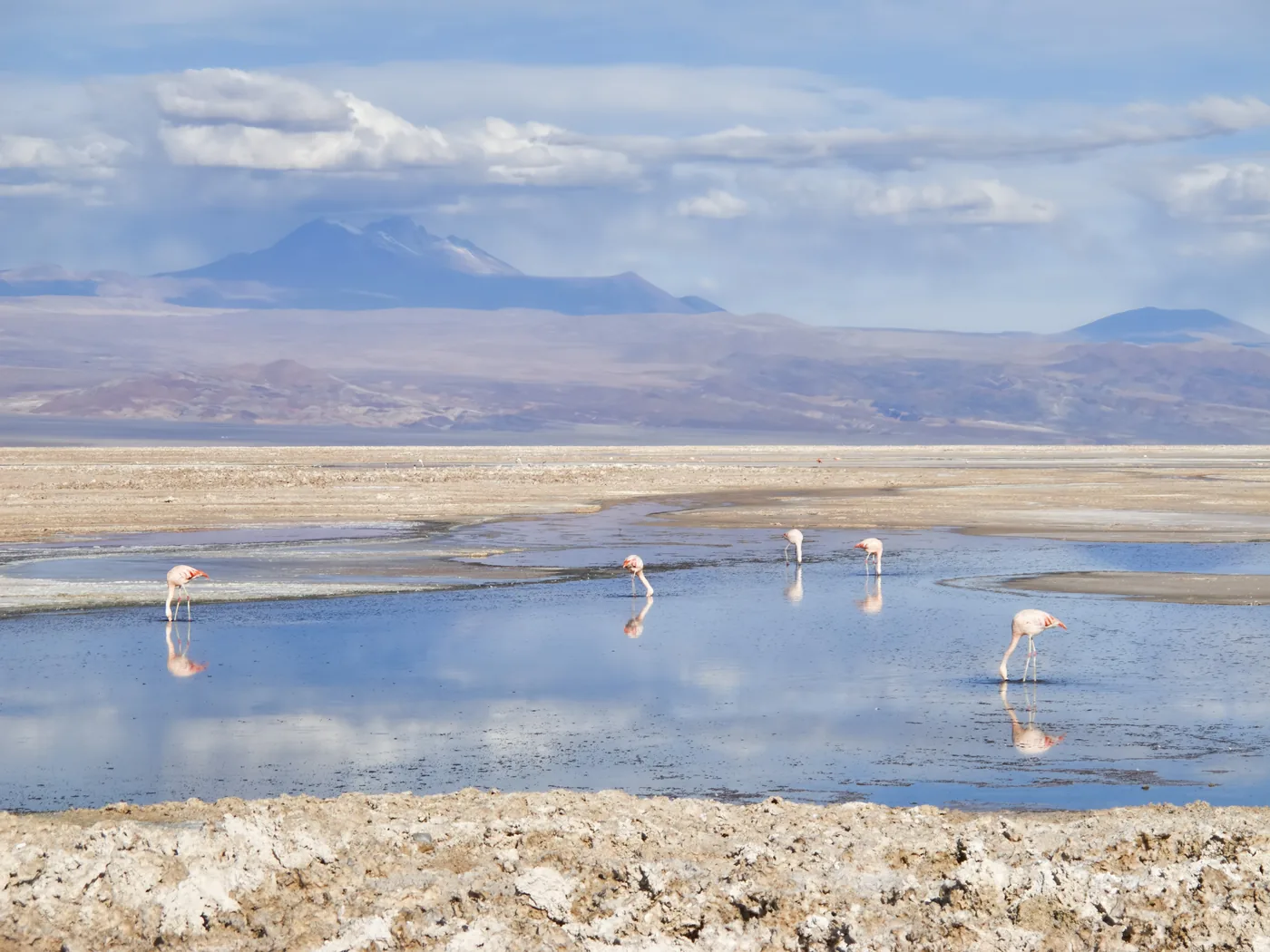 An altiplanic lagoon ringed by volcanoes in the Atacama Desert